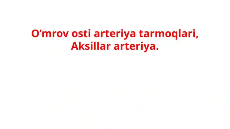 O’mrov osti arteriya tarmoqlari, Aksillar arteriya.