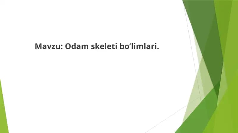 Odam skeleti bo’limlari