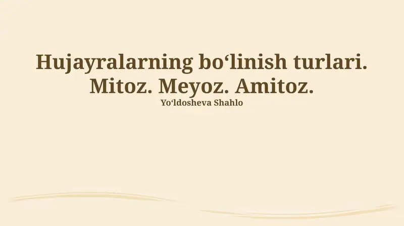 Meyoz II bosqichi