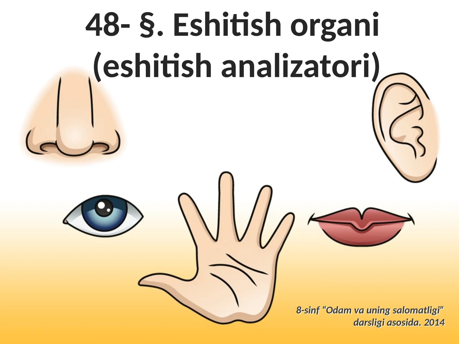 Eshitish organi (eshitish analizatori)