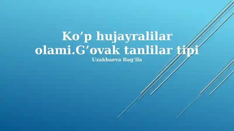 Ko'p hujayralilar olami