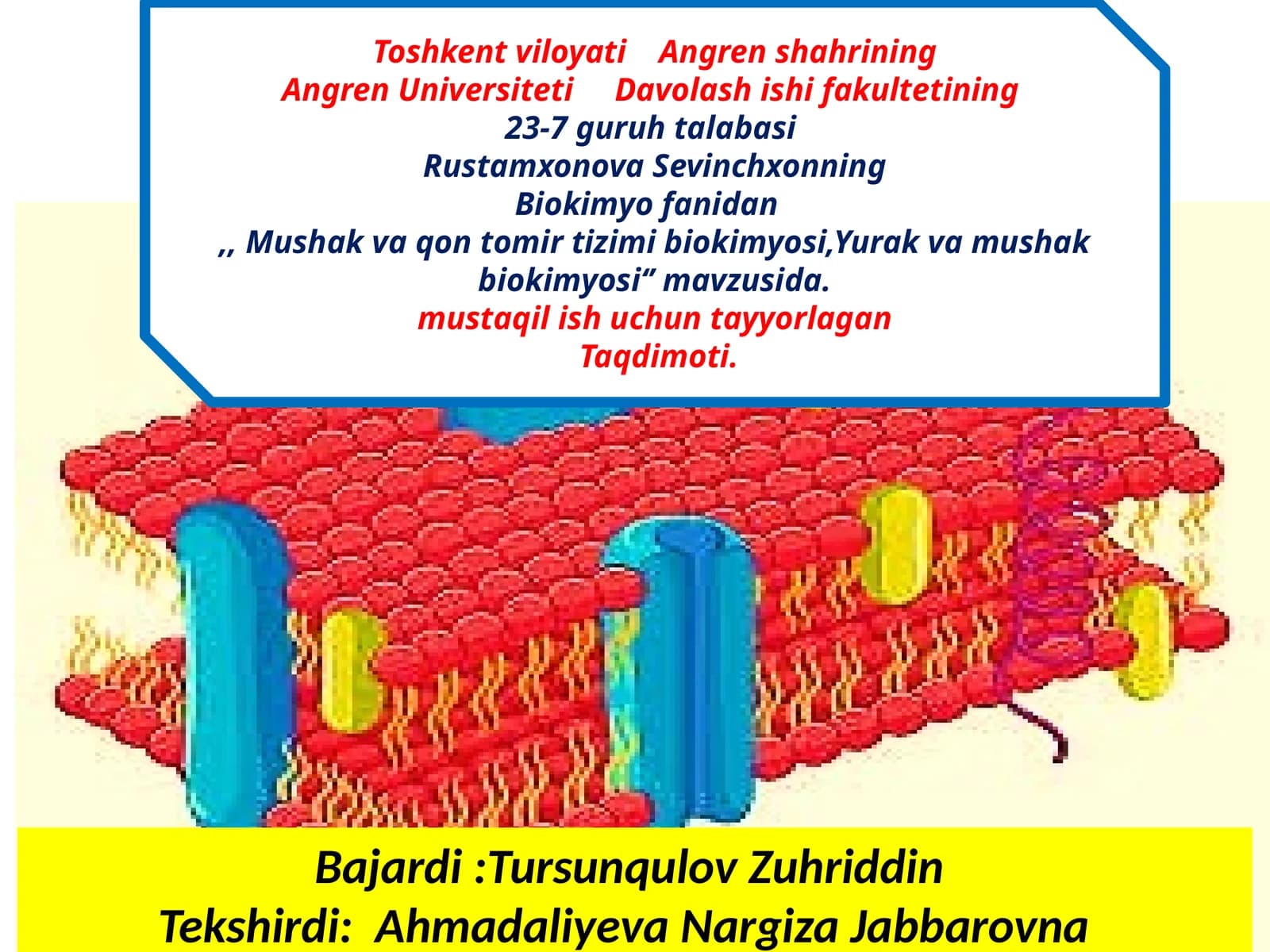 Yurak va mushak biokimyosi