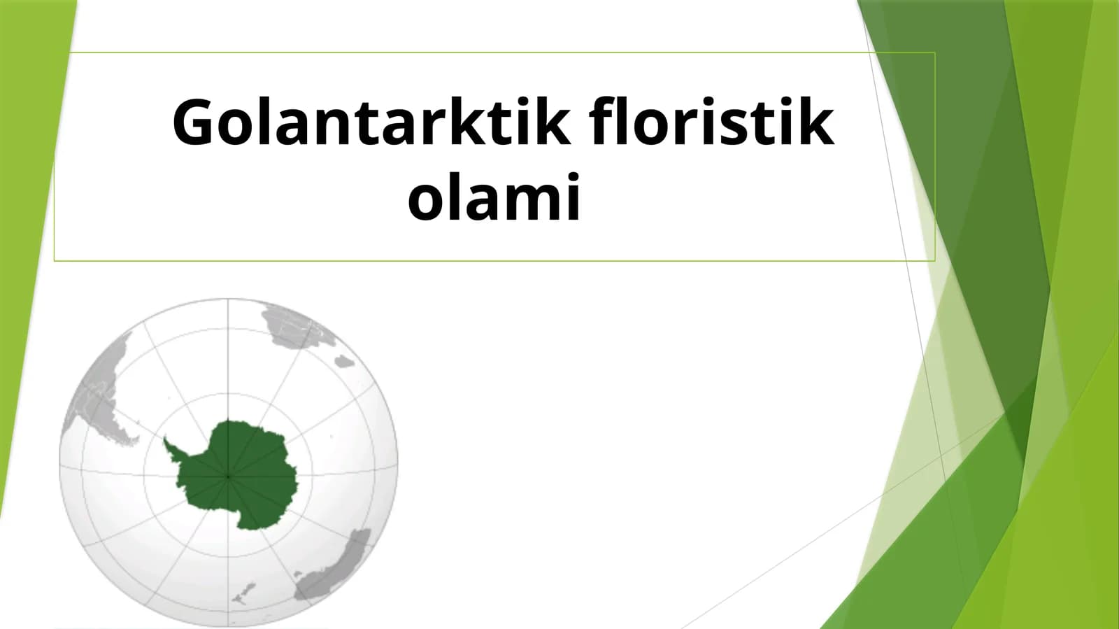 Golantarktik floristik olami