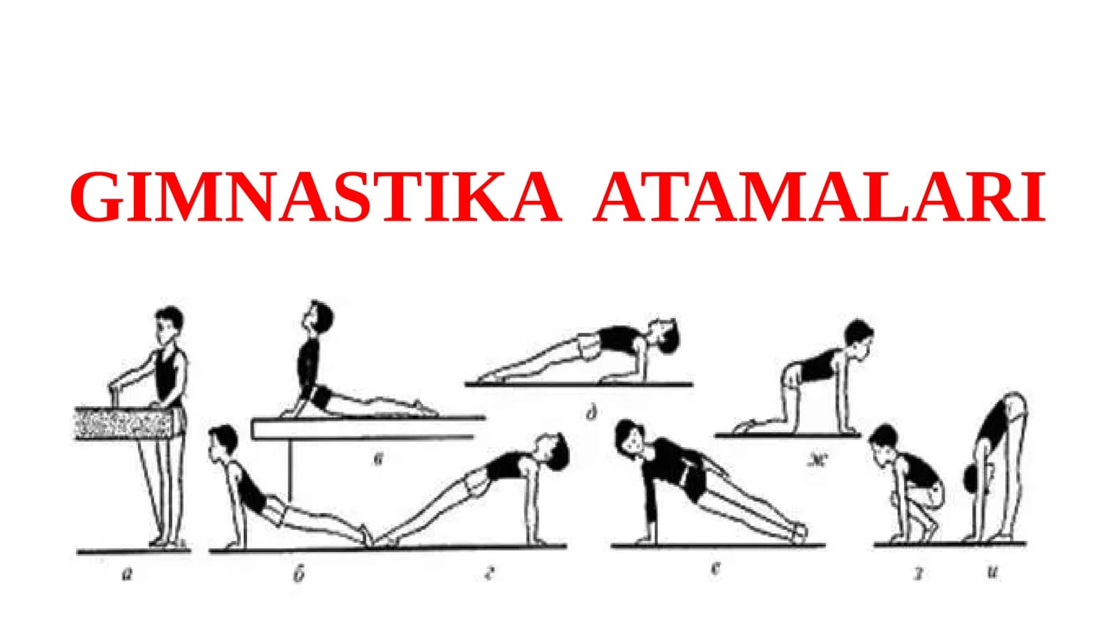 GIMNASTIKA ATAMALARI