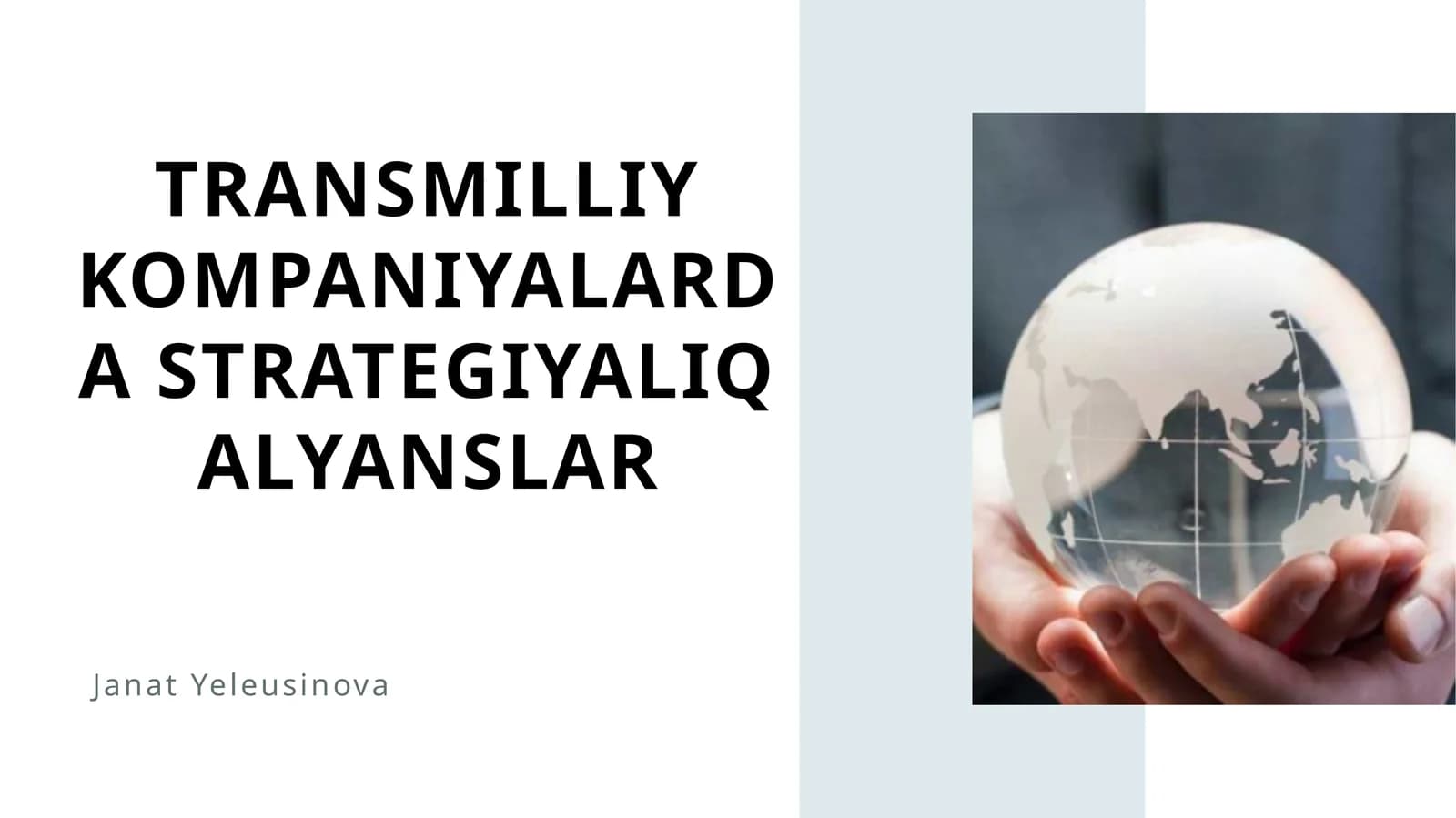 Transmilliy kompaniyalarda strategiyalıq alyanslar