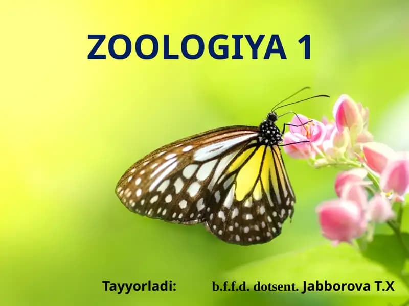 Zoologiya 1