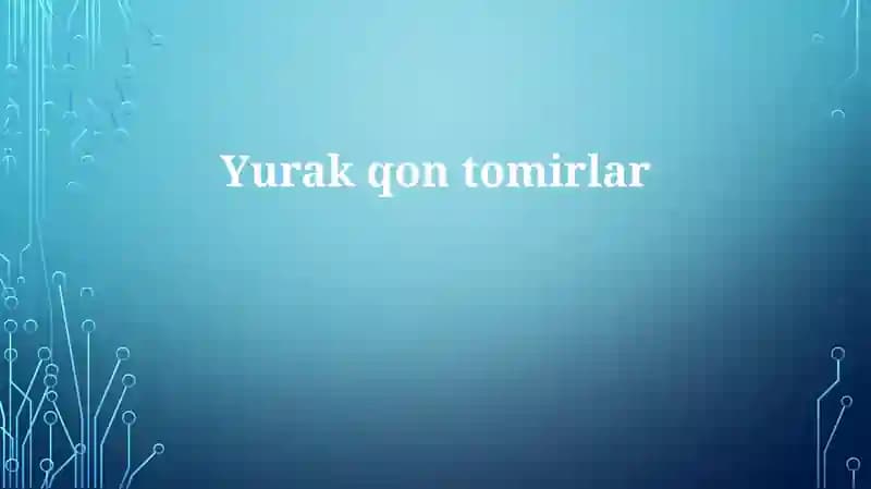Yurak-qon tomirlar