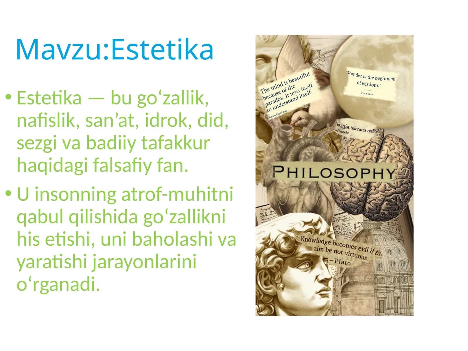 Falsafa .Estetika