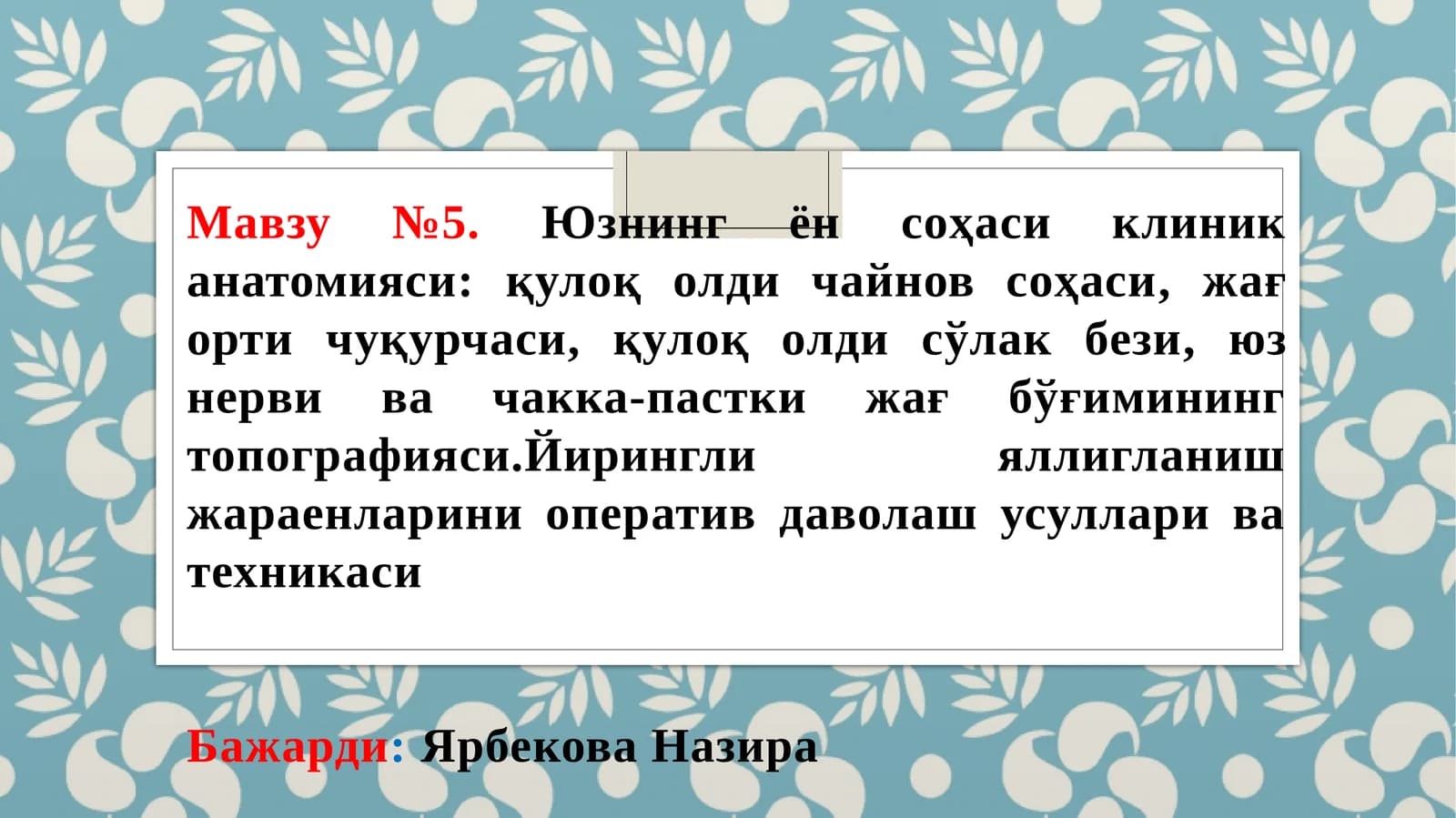 Юзнинг ўлдич анатомияси