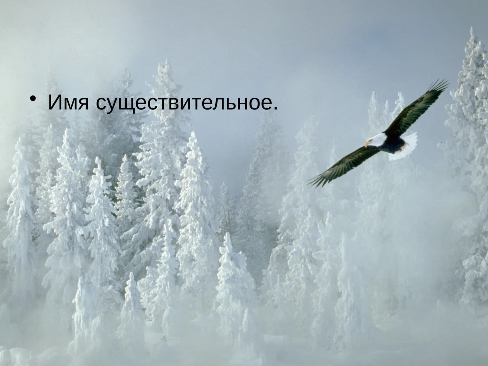 Имя существительное