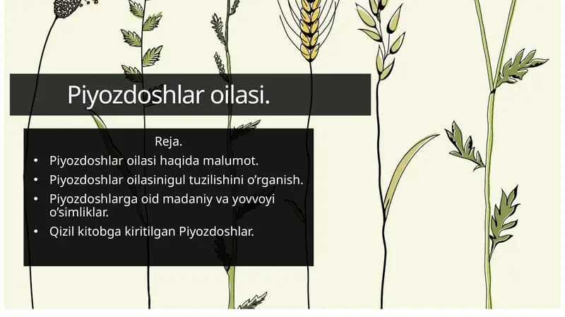 Piyozdoshlar oilasi