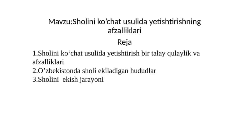 Sholini ko’chat usulida yetishtirishning afzalliklari