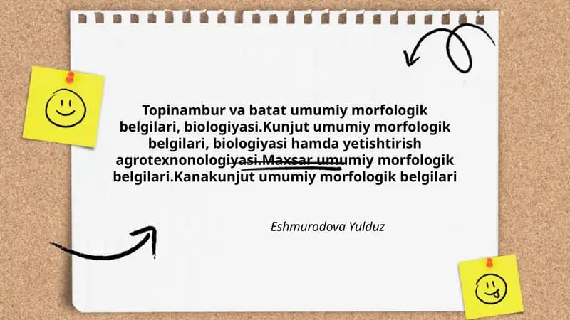 Topinambur va batat