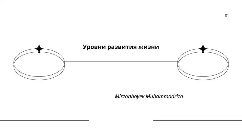 Уровни развития жизни