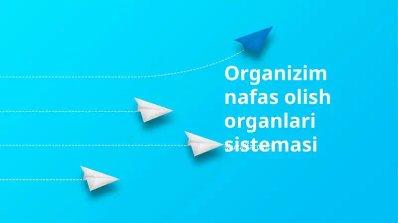Organizim nafas olish organlari sistemasi