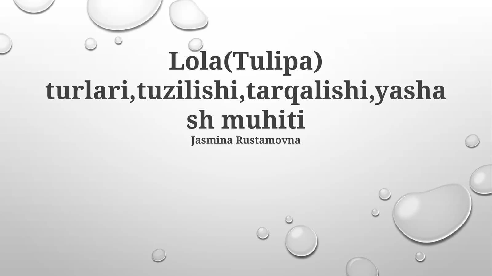 Lola (Tulipa) turlari
