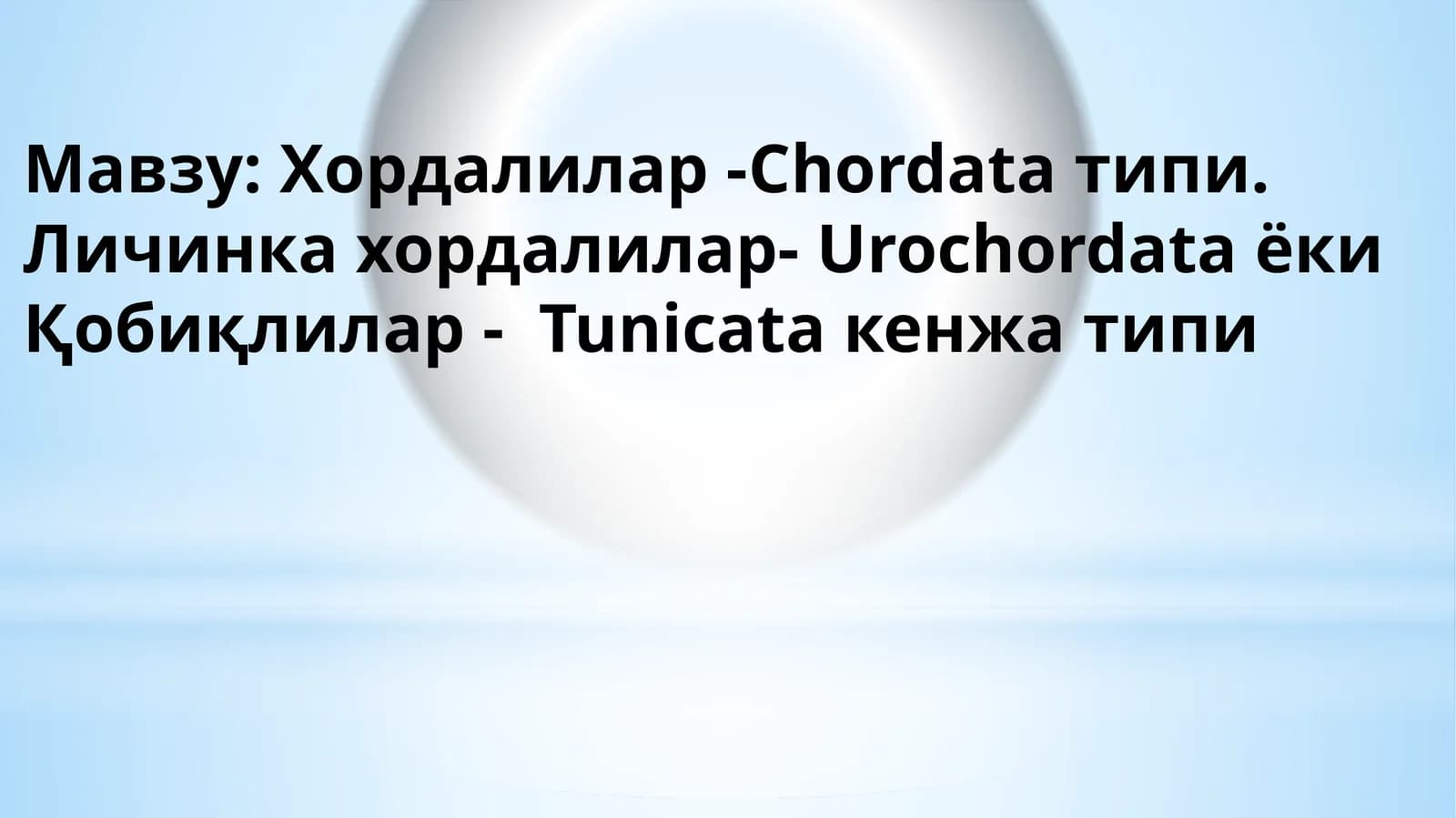 Хордалилар - Chordata типи