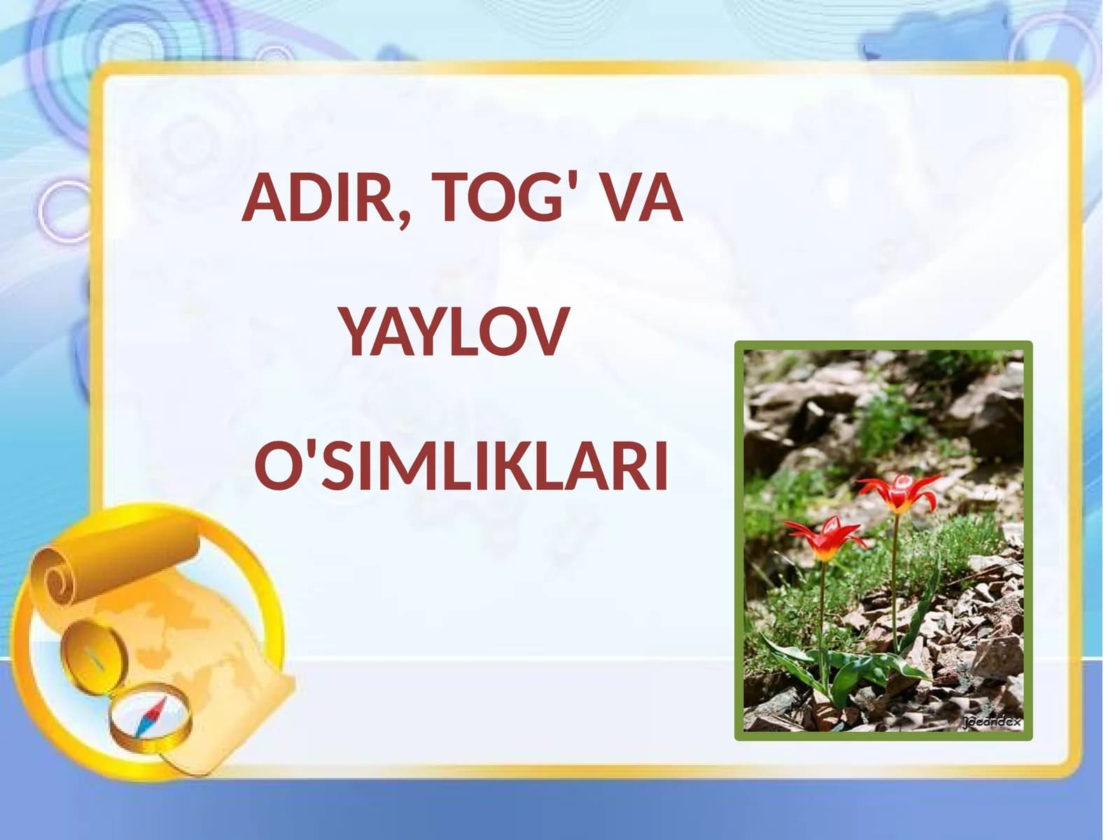 6-sinf Botanika dars ishlanma. Adir, tog' va yaylov o'simliklari