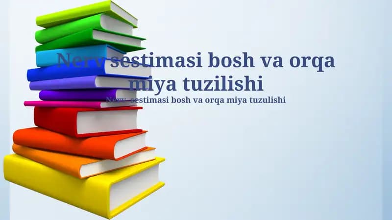 Orqa miya tuzilishi