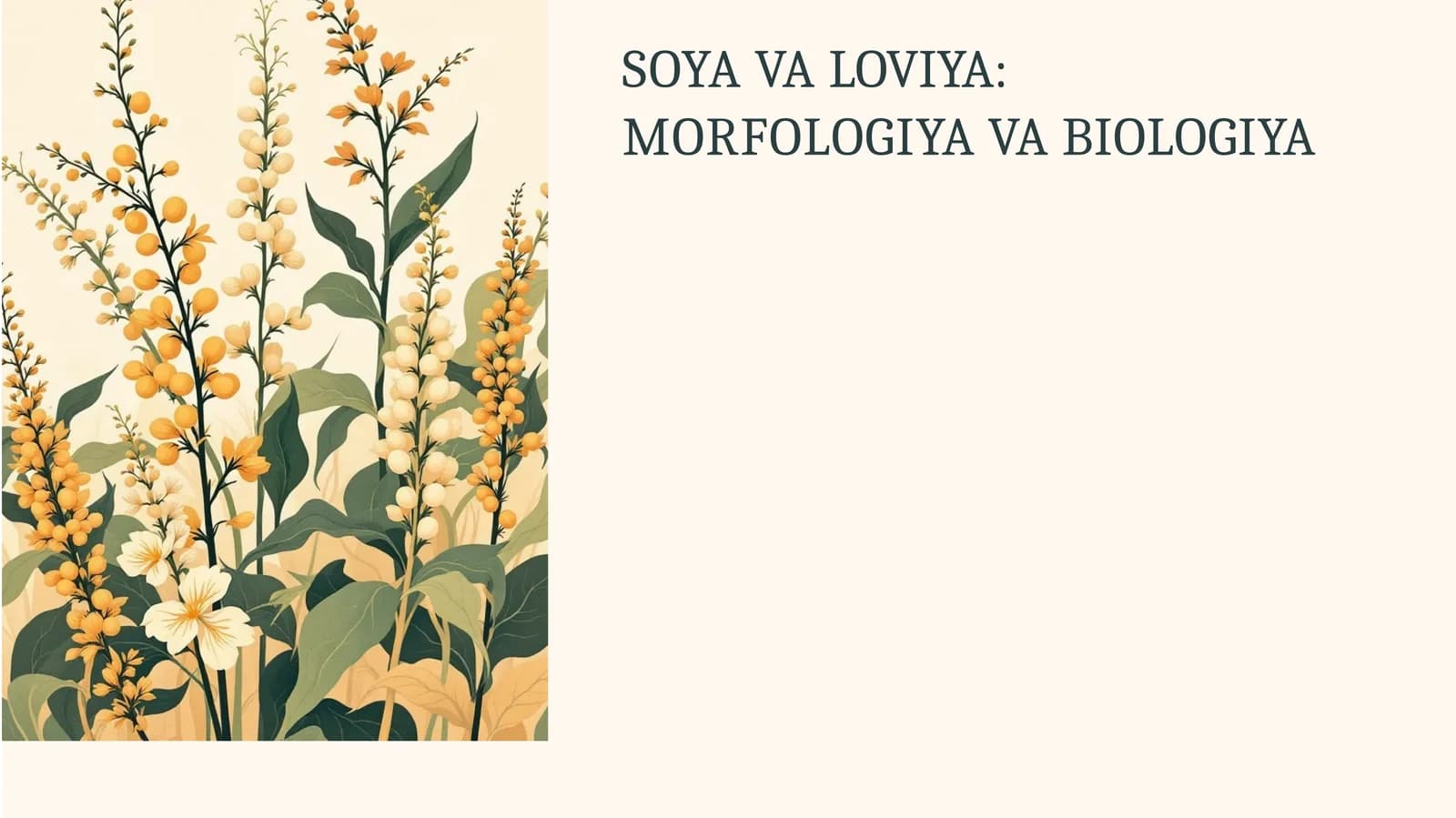 Soya va Loviyaning Asosiy Xususiyatlari