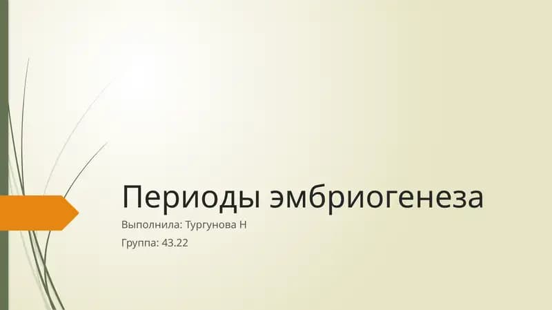 Периоды эмбриогенеза