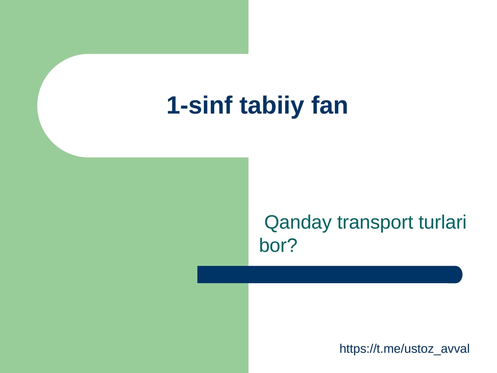 Qanday transport turlari bor?