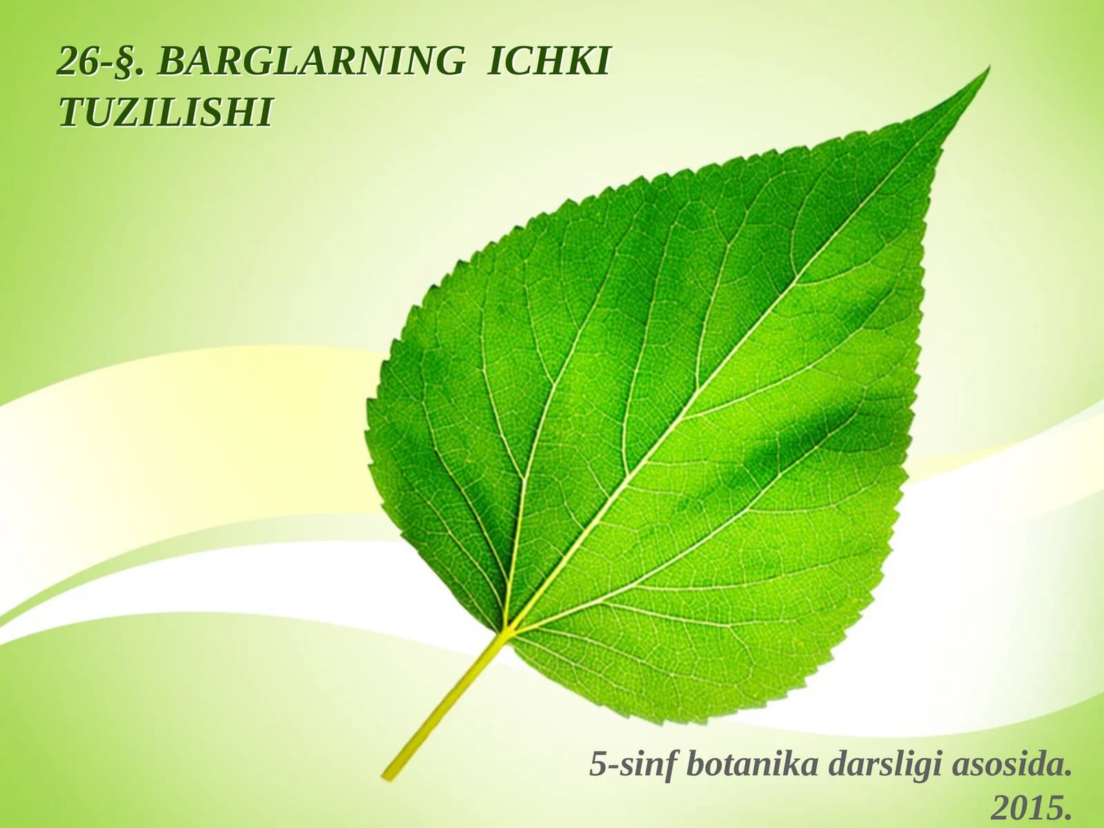 BARGLARNING ICHKI TUZILISHI