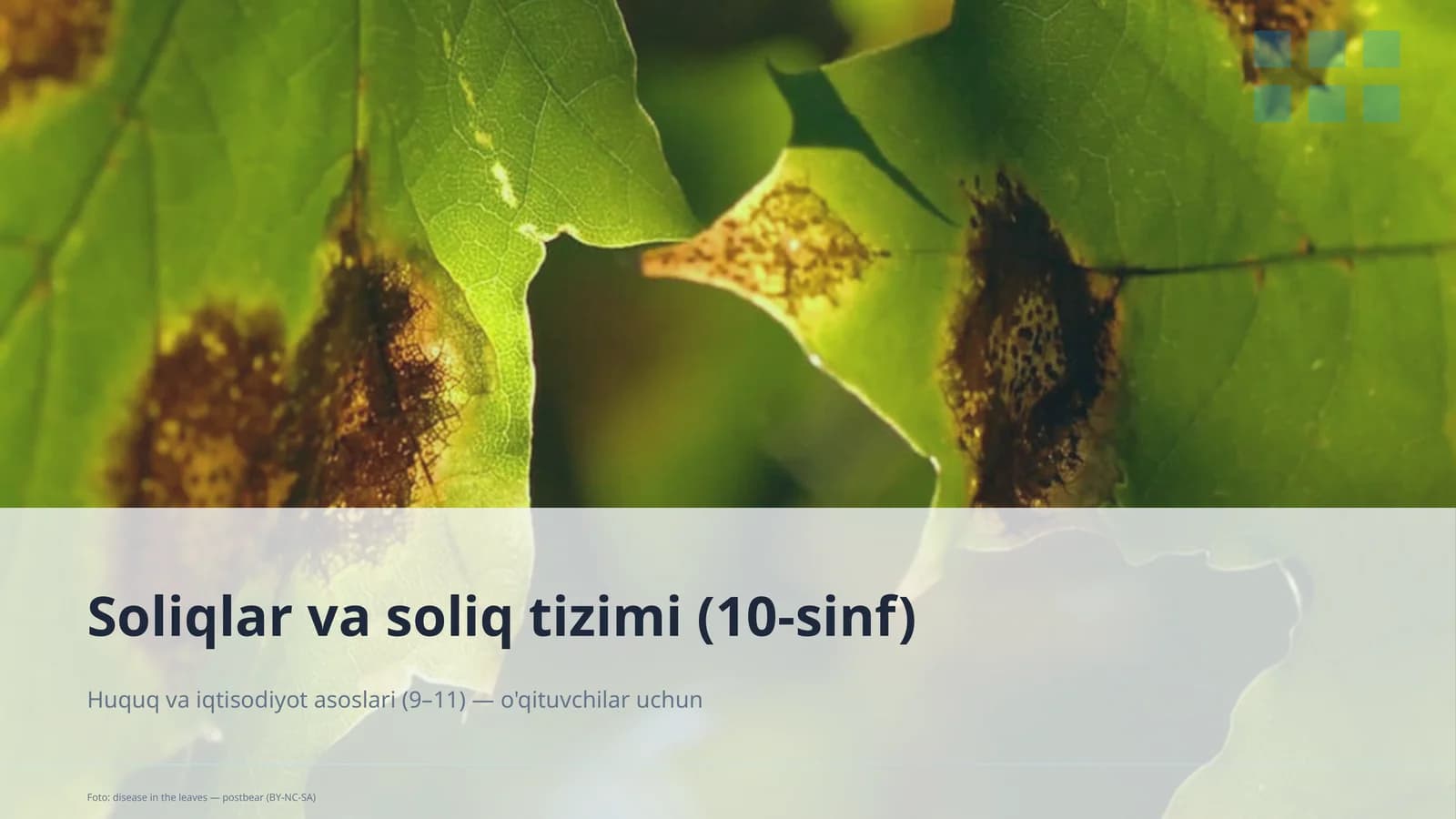 Soliqlar va soliq tizimi (10-sinf)