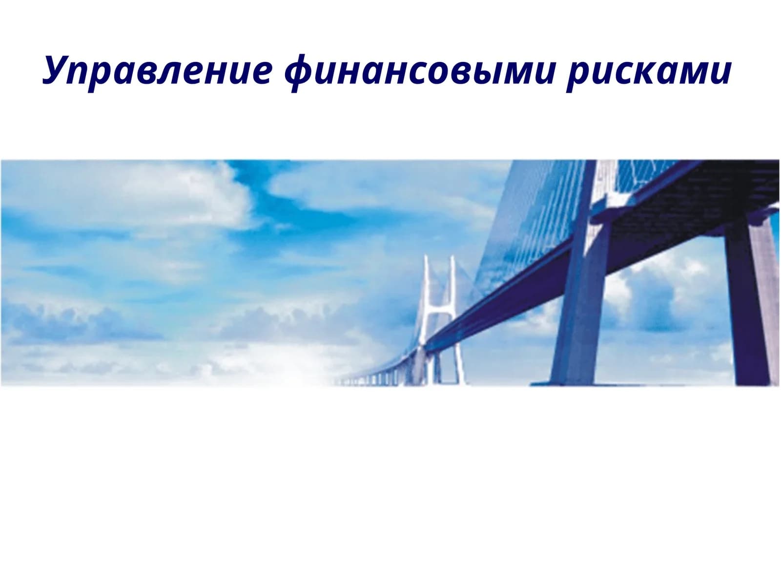 Управление финансовыми рисками