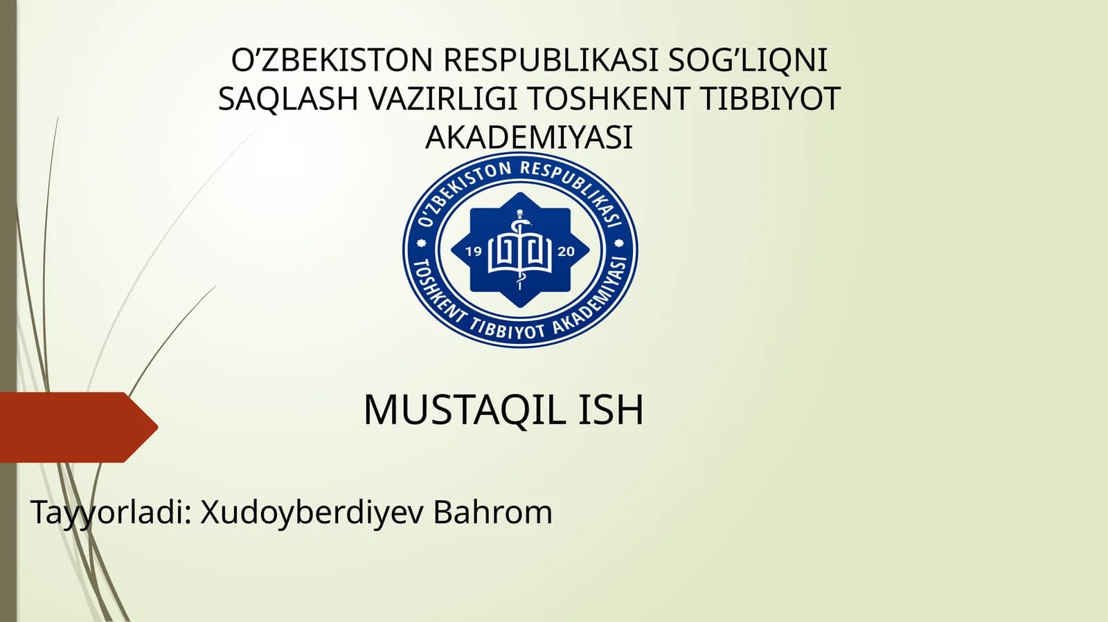 Chanoq kamari va oyoqning erkin suyaklari