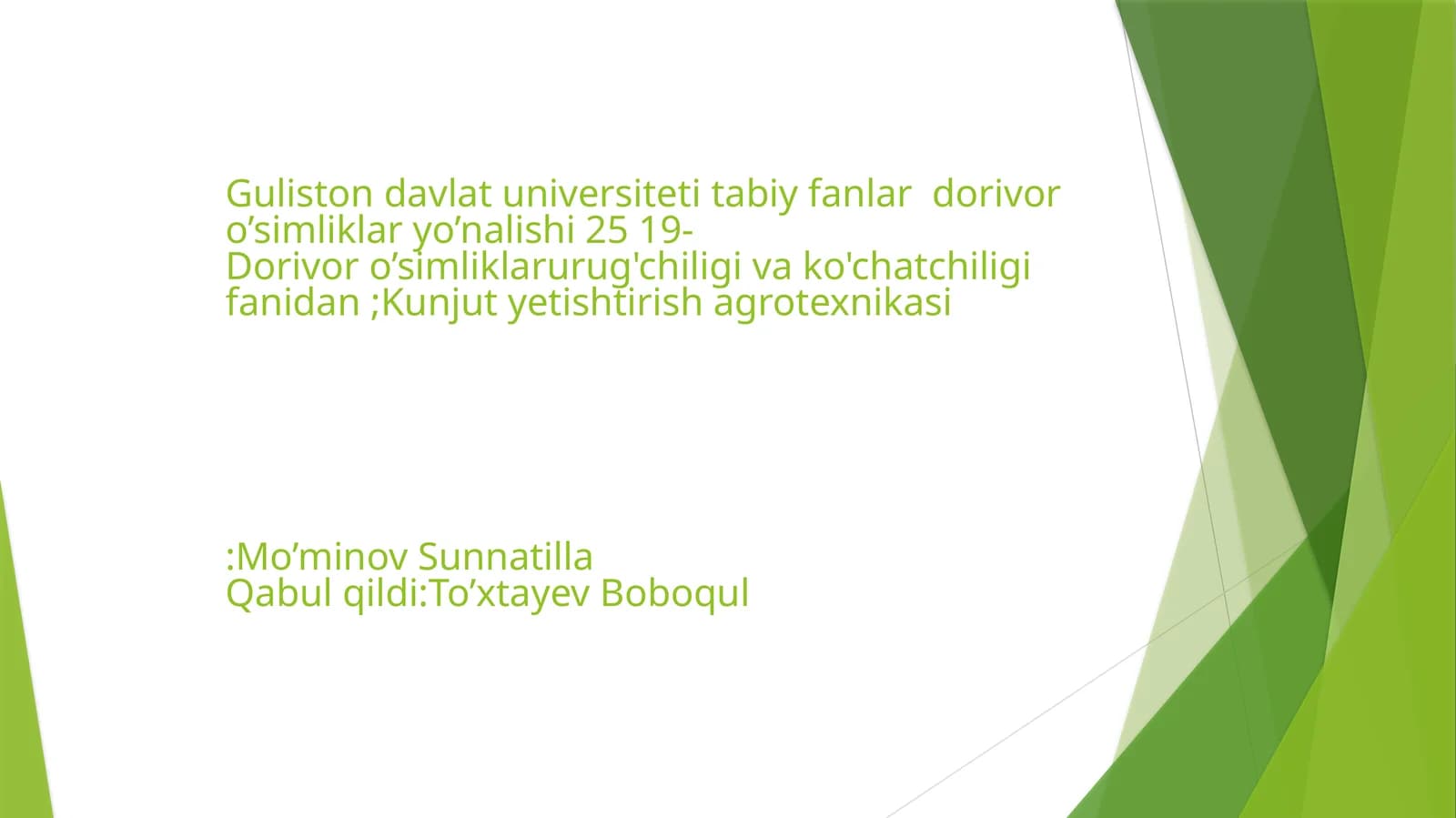 Kunjut yetishtirish agrotexnikasi