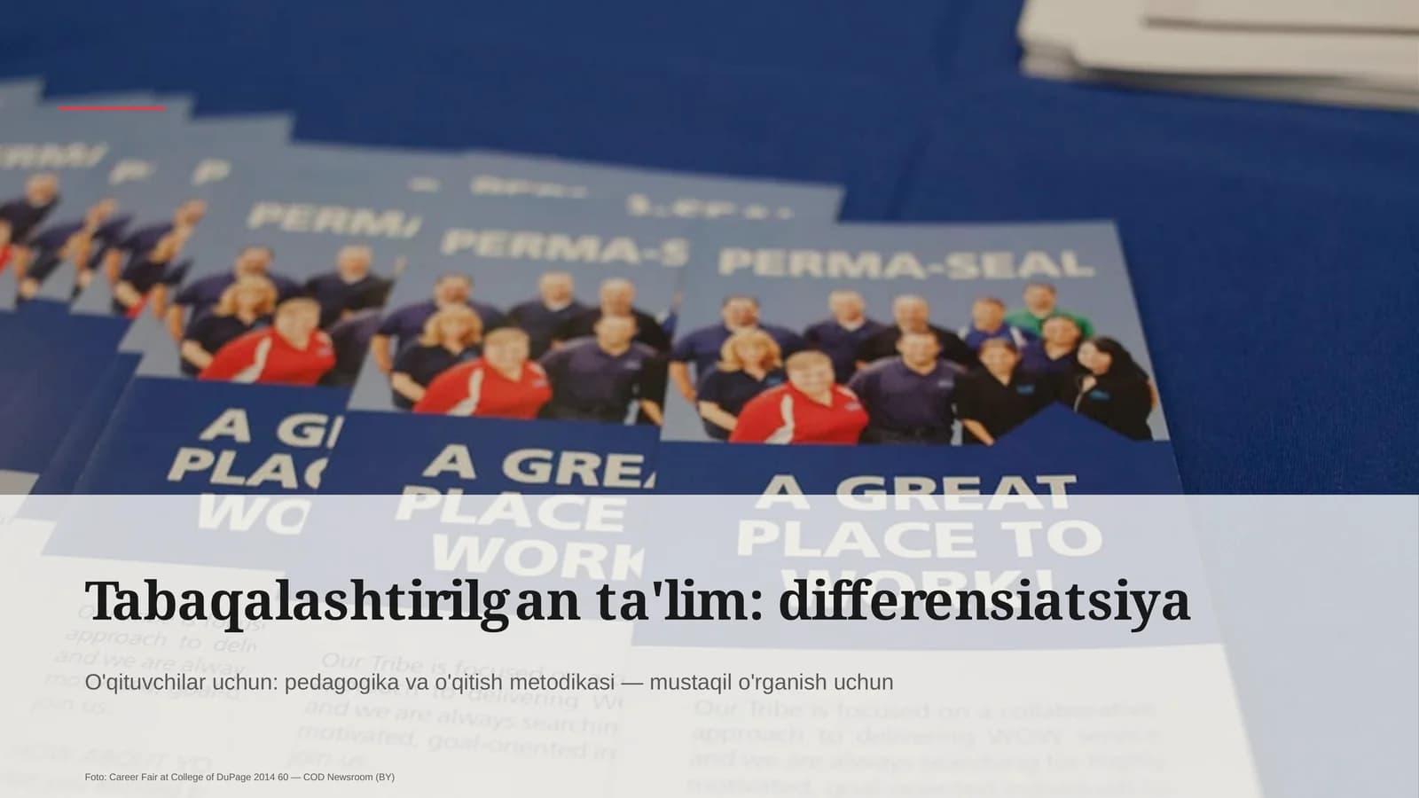 Tabaqalashtirilgan ta'lim: differensiatsiya