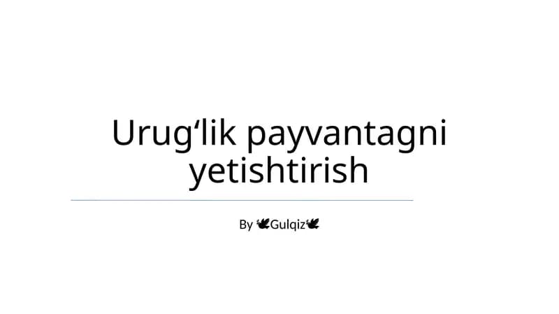 Urugʻlik payvantagni yetishtirish