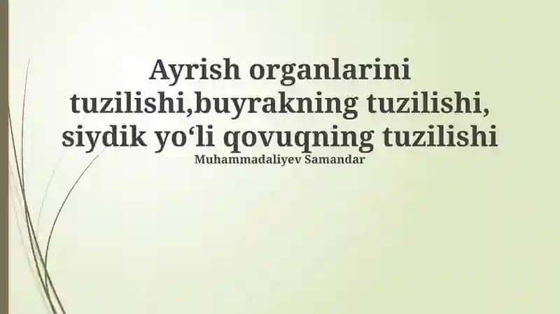 Siydik organlarining tuzilishi