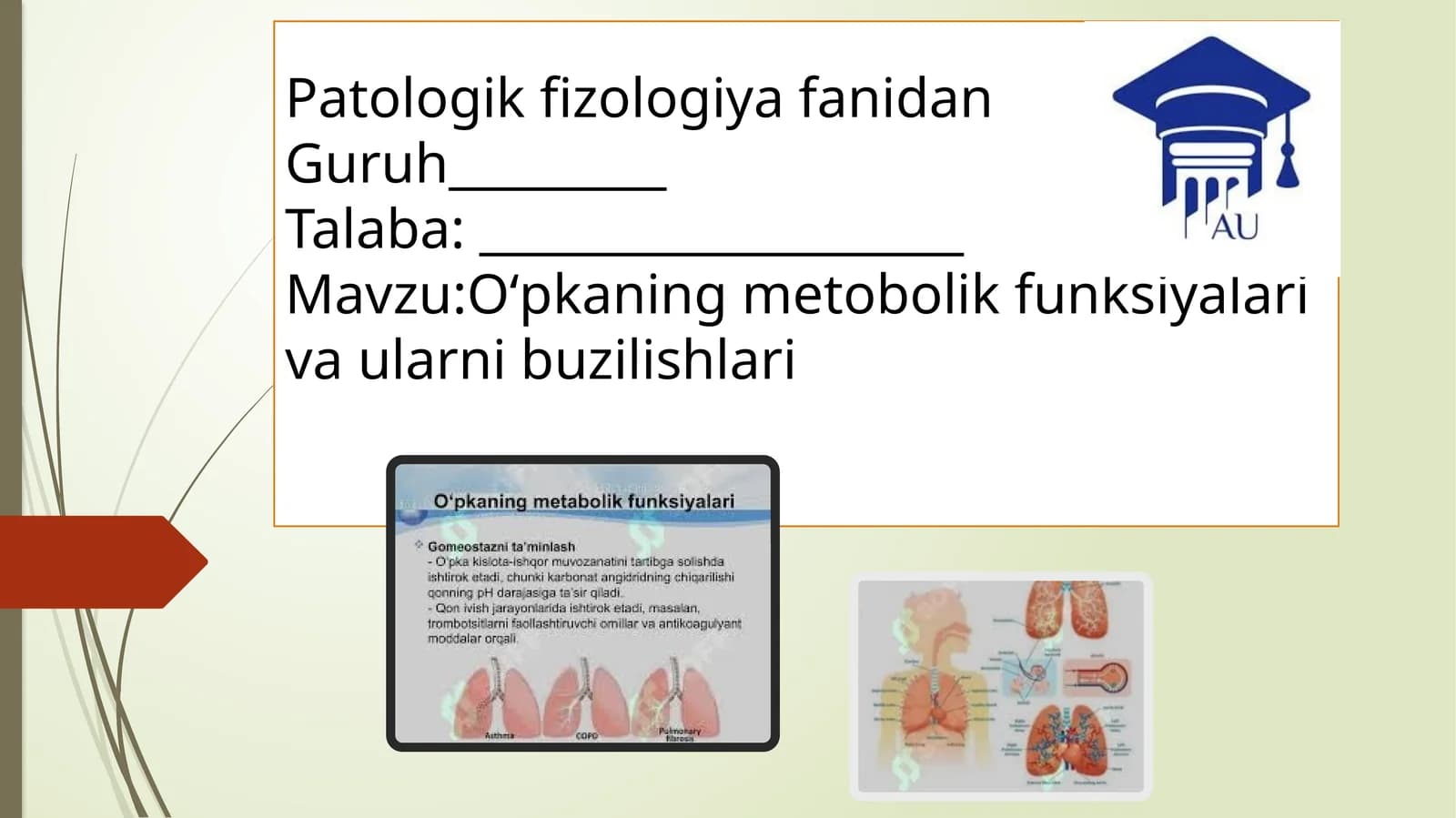 O‘pkaningmetobolikfunksiyalarivaularnibuzilishlari