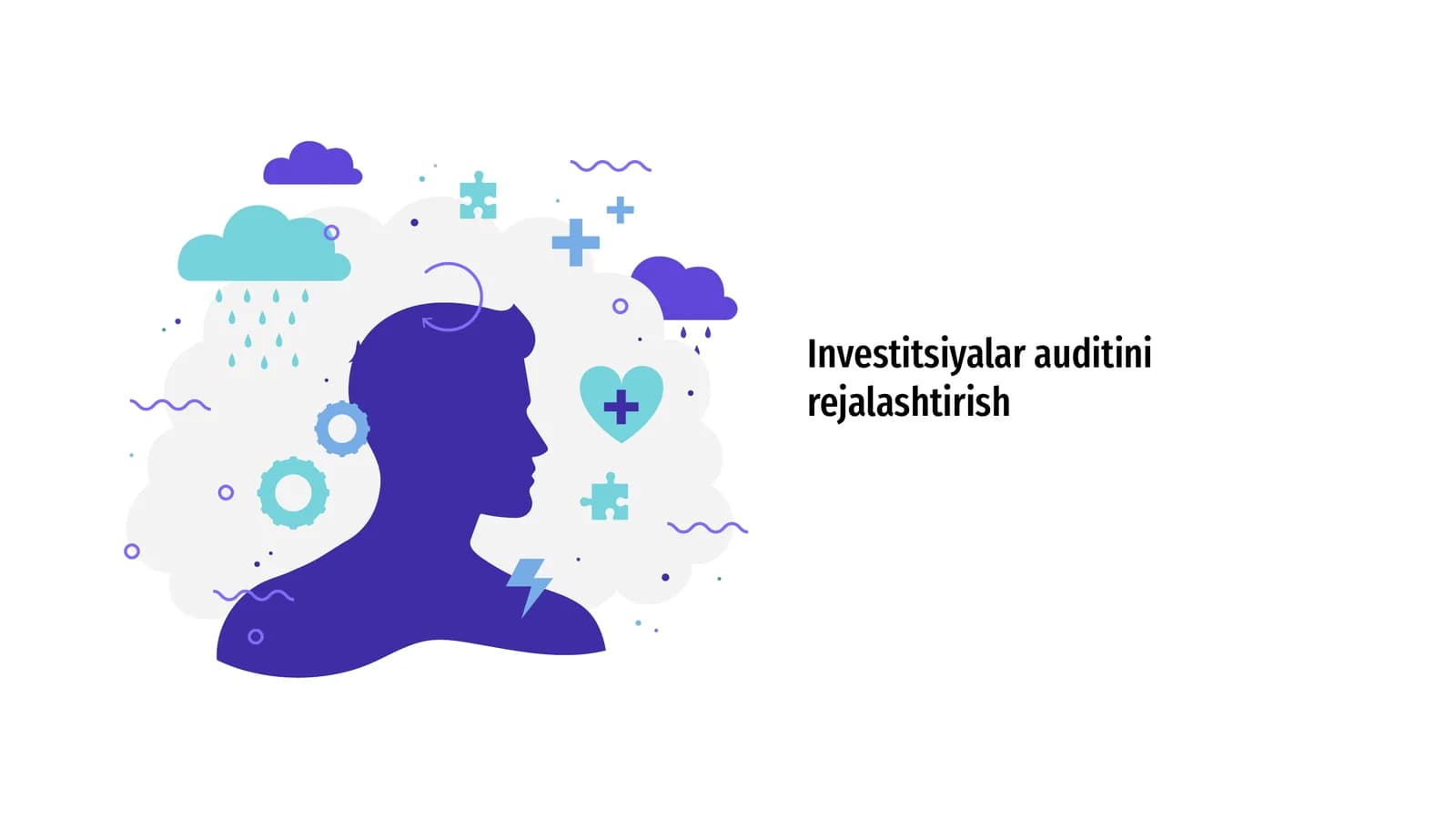 Investitsiyalar auditini rejalashtirish