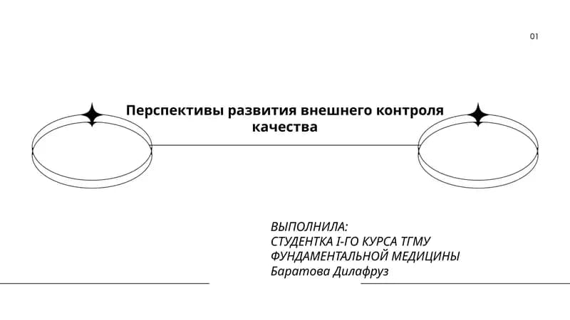 Перспективы развития внешнего контроля качества