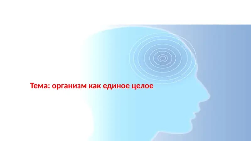 организм как единое целое