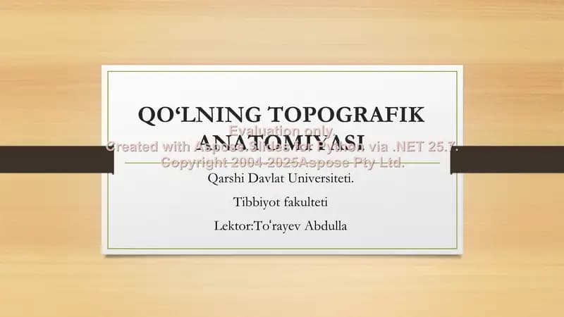 QO‘LNING TOPOGRAFIK ANATOMIYASI