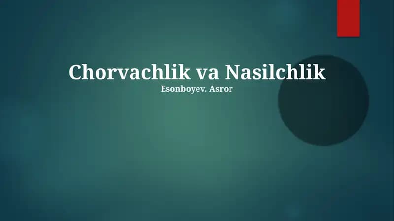 Chorvachlik va Nasilchlik