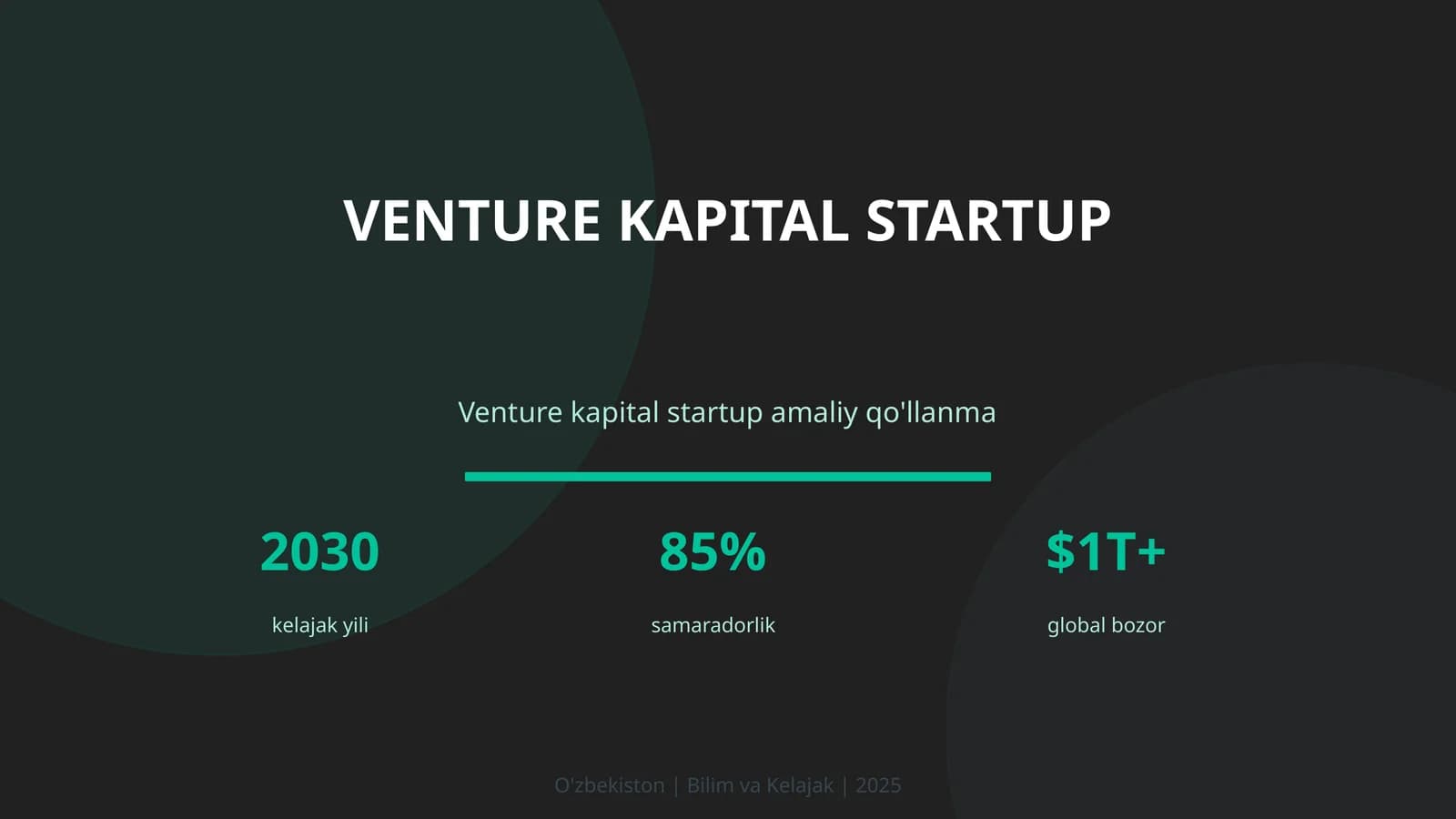 Venture kapital startup
