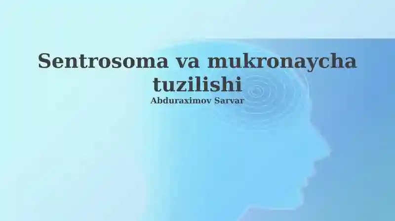 Sentrosoma va mukronaycha tuzilishi