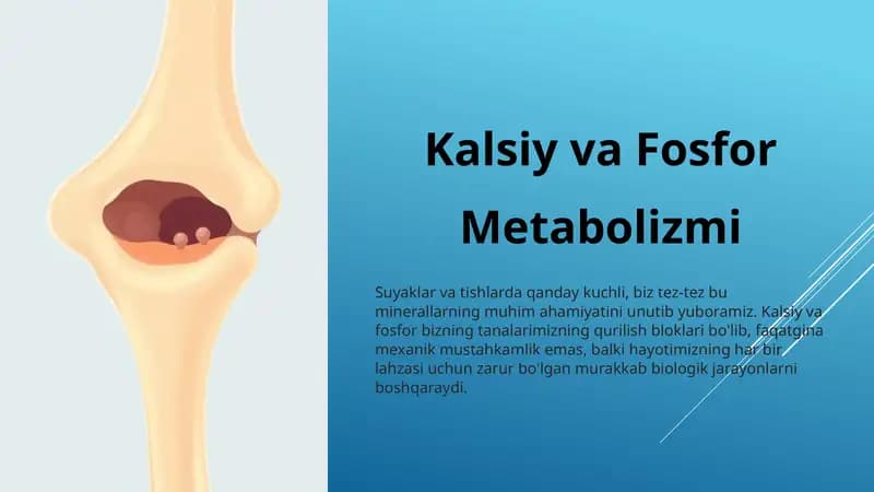 Kalsiy va Fosfor metabolizmi