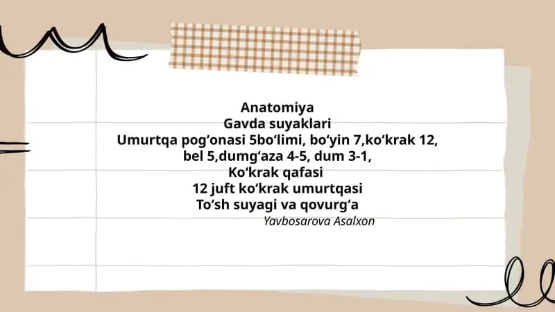Anatomiya