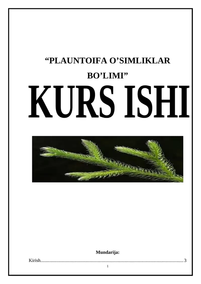 PLANTOIFA O'SIMLIKLAR BO'LIMI