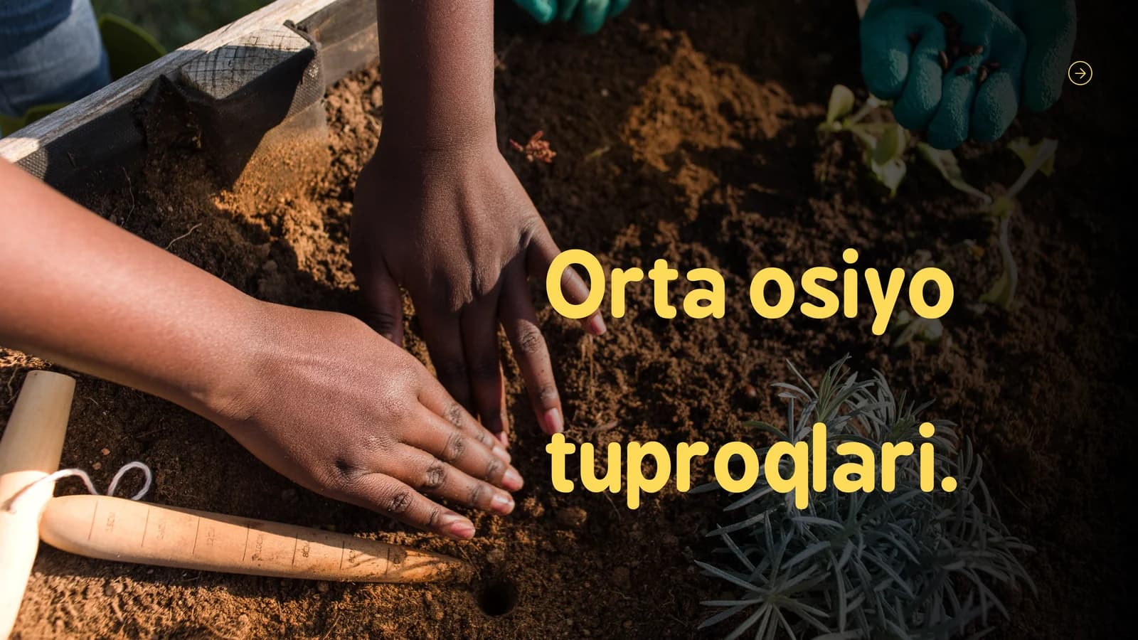 Orta osiyo tuproqlari