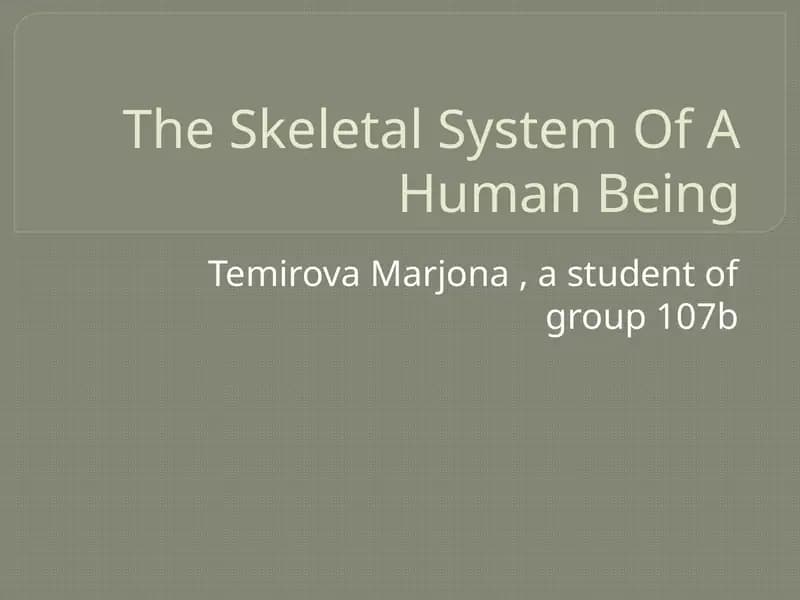 The Skeletal System of A Human Being