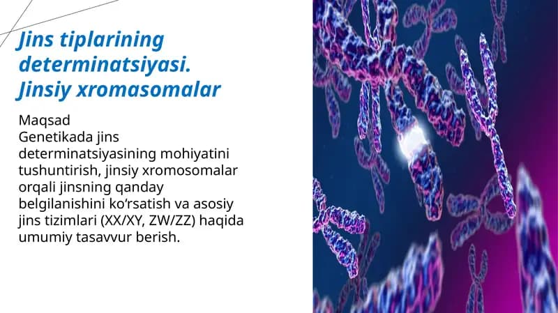 Jins tiplarining determinatsiyasi