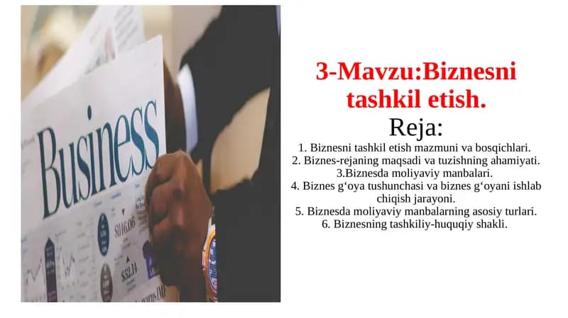 Biznesning tashkilotish