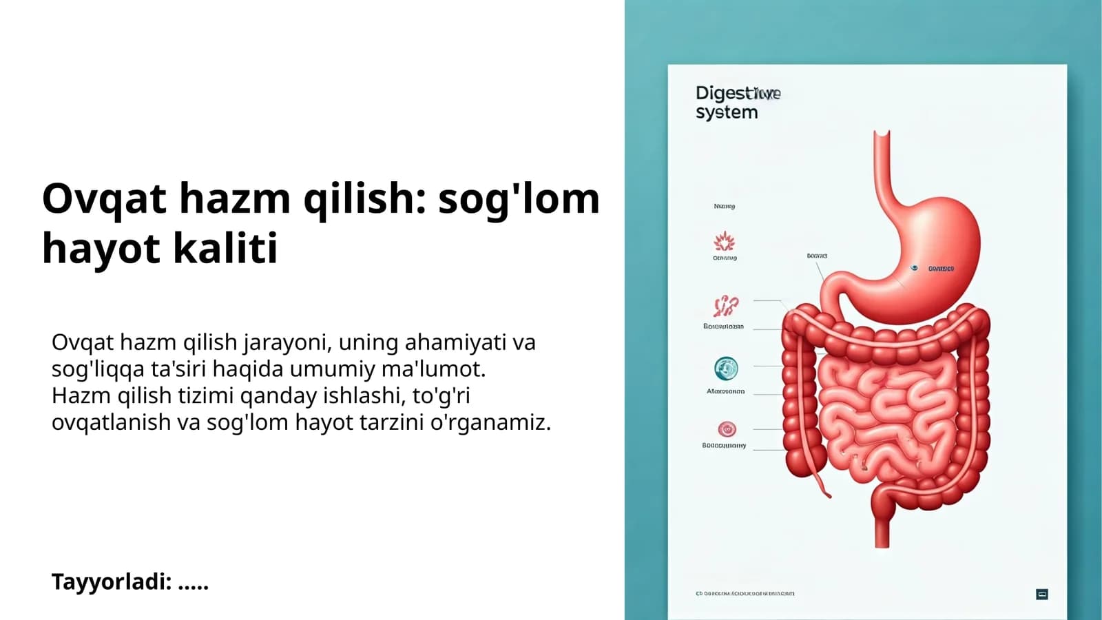 Ovqat hazm qilish: sog'lom hayot kaliti